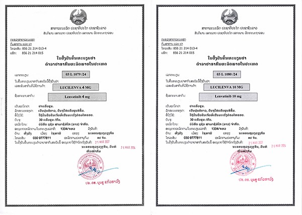 03L1079_24 Lenvatinib Approval_proc.jpg